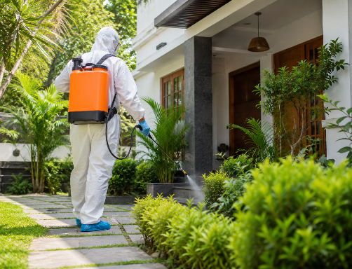 Our pest control approach