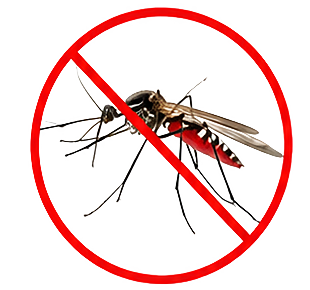 Mosquitoes